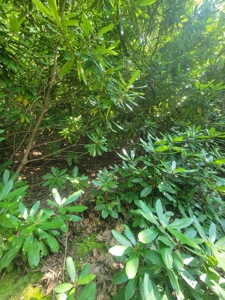 Lot for Sale in Meadows of Dan VA - image 3