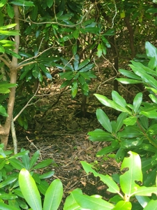Lot for Sale in Meadows of Dan VA - image 5