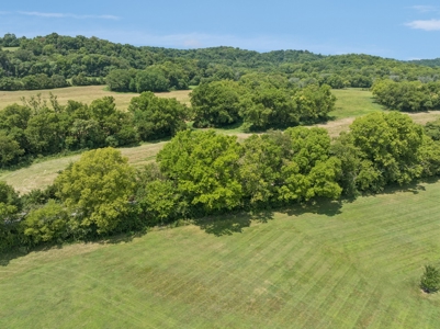 Country Home for Sale in Williamson County, Tennessee - image 47