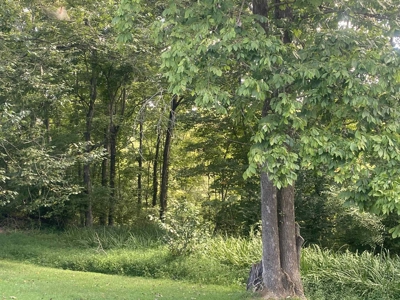 Charming Country Home Near Dale Hollow Lake - image 12