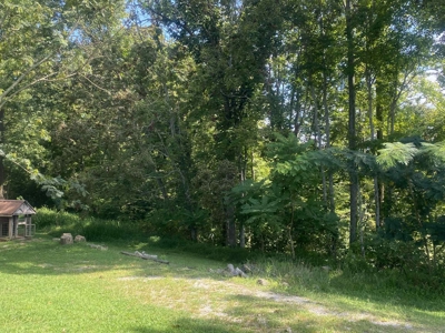 Charming Country Home Near Dale Hollow Lake - image 10