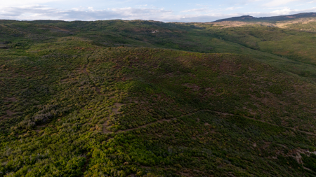 Green Mountain Ranch - Exceptional Elk & Deer Hunting Land - image 42