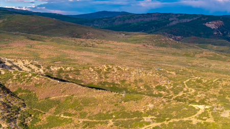 Green Mountain Ranch - Exceptional Elk & Deer Hunting Land - image 12