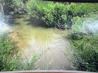 Green Mountain Ranch - Exceptional Elk & Deer Hunting Land - image 22