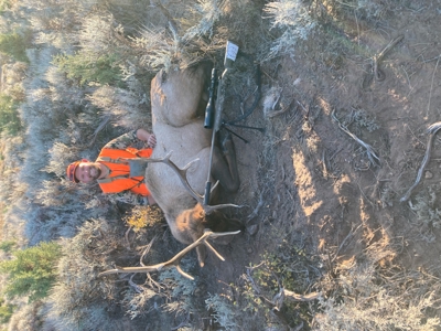 Green Mountain Ranch - Exceptional Elk & Deer Hunting Land - image 8
