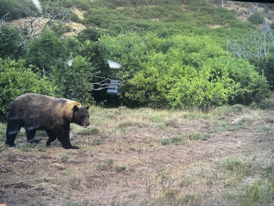 Green Mountain Ranch - Exceptional Elk & Deer Hunting Land - image 24