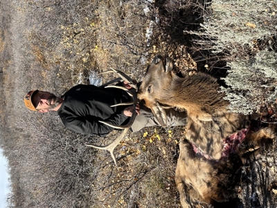 Green Mountain Ranch - Exceptional Elk & Deer Hunting Land - image 43