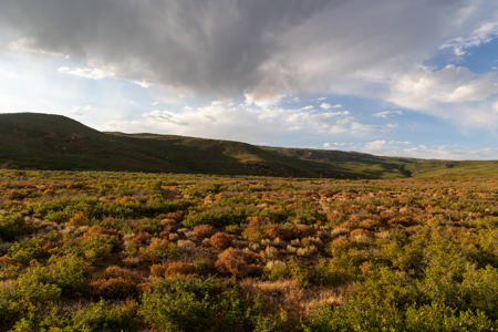 Green Mountain Ranch - Exceptional Elk & Deer Hunting Land - image 51