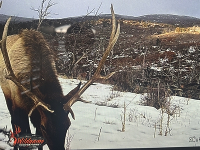 Green Mountain Ranch - Exceptional Elk & Deer Hunting Land - image 25