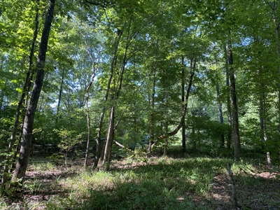 Land For Sale In Country Location In Mcnairy County, Tn - image 13