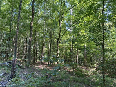 Land For Sale In Country Location In Mcnairy County, Tn - image 1