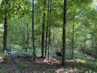Land For Sale In Country Location In Mcnairy County, Tn - image 8