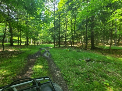 Turnkey Ranch With Acreage For Sale in Central New York - image 34