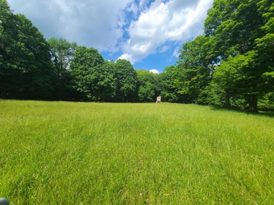 Turnkey Ranch With Acreage For Sale in Central New York - image 19