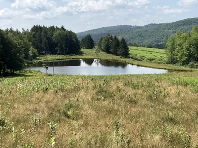 Turnkey Ranch With Acreage For Sale in Central New York - image 23