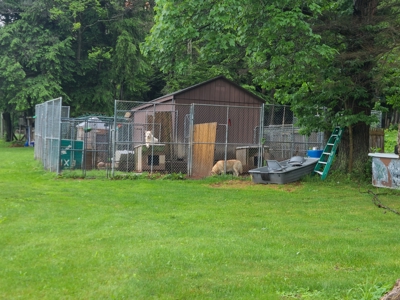 Turnkey Ranch With Acreage For Sale in Central New York - image 30