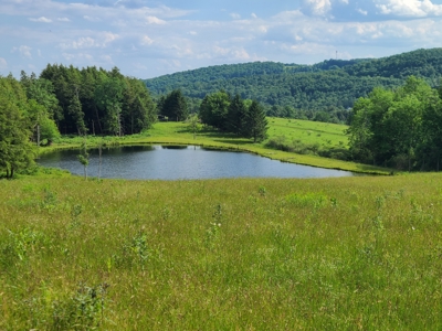 Turnkey Ranch With Acreage For Sale in Central New York - image 1