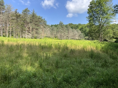 Turnkey Ranch With Acreage For Sale in Central New York - image 21