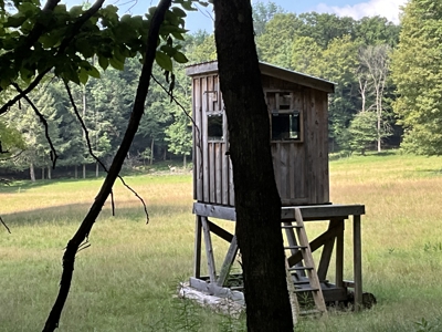 Turnkey Ranch With Acreage For Sale in Central New York - image 22