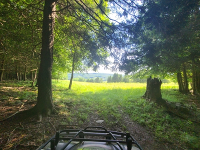 Turnkey Ranch With Acreage For Sale in Central New York - image 20