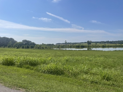 2.73 acre country lot for sale near Franklin Ky. - image 1