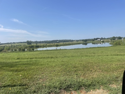 2.73 acre country lot for sale near Franklin Ky. - image 3