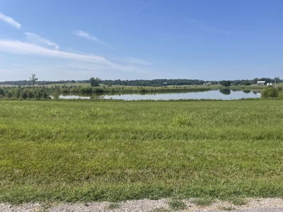 2.73 acre country lot for sale near Franklin Ky. - image 2