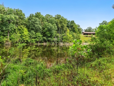 Earth-Berm Log Home on 19 Acres with Pond & Springs - image 31