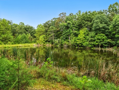 Earth-Berm Log Home on 19 Acres with Pond & Springs - image 32