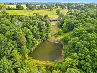 Earth-Berm Log Home on 19 Acres with Pond & Springs - image 21