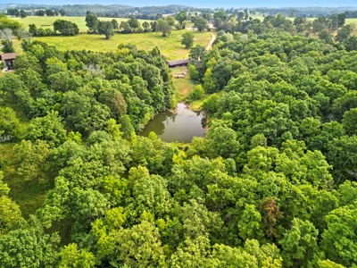 Earth-Berm Log Home on 19 Acres with Pond & Springs - image 27