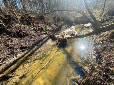 +/-103 Acres North MS Timberland with Creek & Hunting - image 20