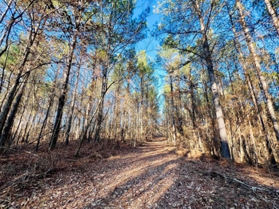 +/-103 Acres North MS Timberland with Creek & Hunting - image 24