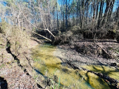 +/-103 Acres North MS Timberland with Creek & Hunting - image 10