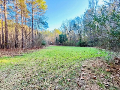 +/-103 Acres North MS Timberland with Creek & Hunting - image 2