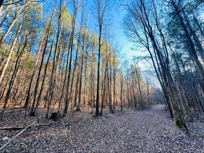 +/-103 Acres North MS Timberland with Creek & Hunting - image 11