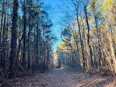 +/-103 Acres North MS Timberland with Creek & Hunting - image 15