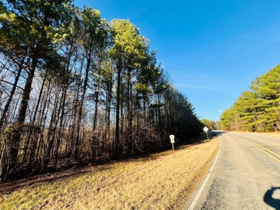 +/-103 Acres North MS Timberland with Creek & Hunting - image 4