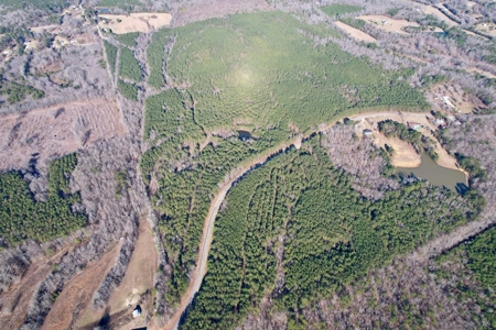 +/-103 Acres North MS Timberland with Creek & Hunting - image 7