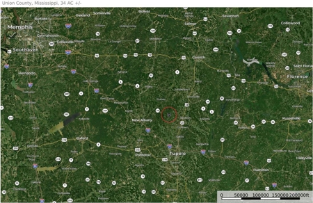 +/-103 Acres North MS Timberland with Creek & Hunting - image 25