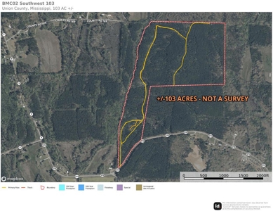 +/-103 Acres North MS Timberland with Creek & Hunting - image 1