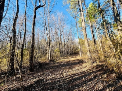 +/-103 Acres North MS Timberland with Creek & Hunting - image 17