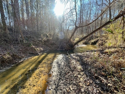 +/-103 Acres North MS Timberland with Creek & Hunting - image 3