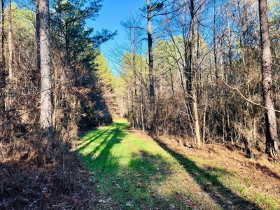 +/-103 Acres North MS Timberland with Creek & Hunting - image 9