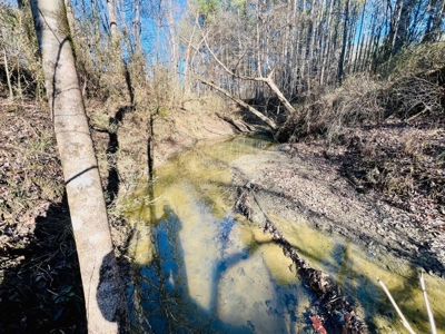 +/-103 Acres North MS Timberland with Creek & Hunting - image 23