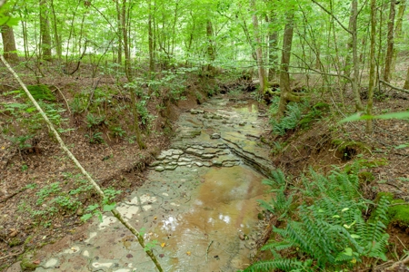 Country Home for Sale in Giles County, Tennessee - image 40