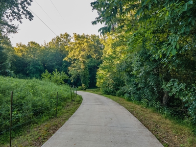 Country Home for Sale in Giles County, Tennessee - image 39