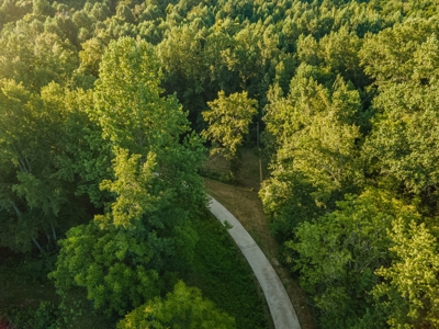 Country Home for Sale in Giles County, Tennessee - image 38