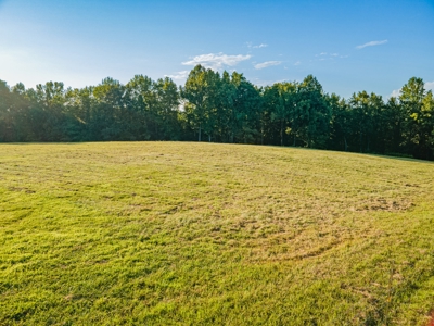 Country Home for Sale in Giles County, Tennessee - image 30
