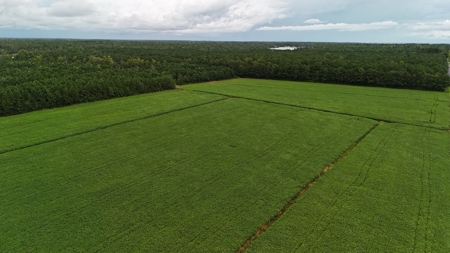 Rare 210-Acre Tract with Green's Creek Frontage - image 3